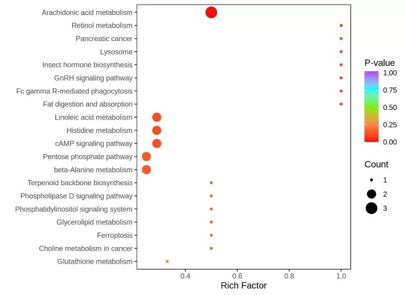 KEGG enrichment plot of differential metabolites